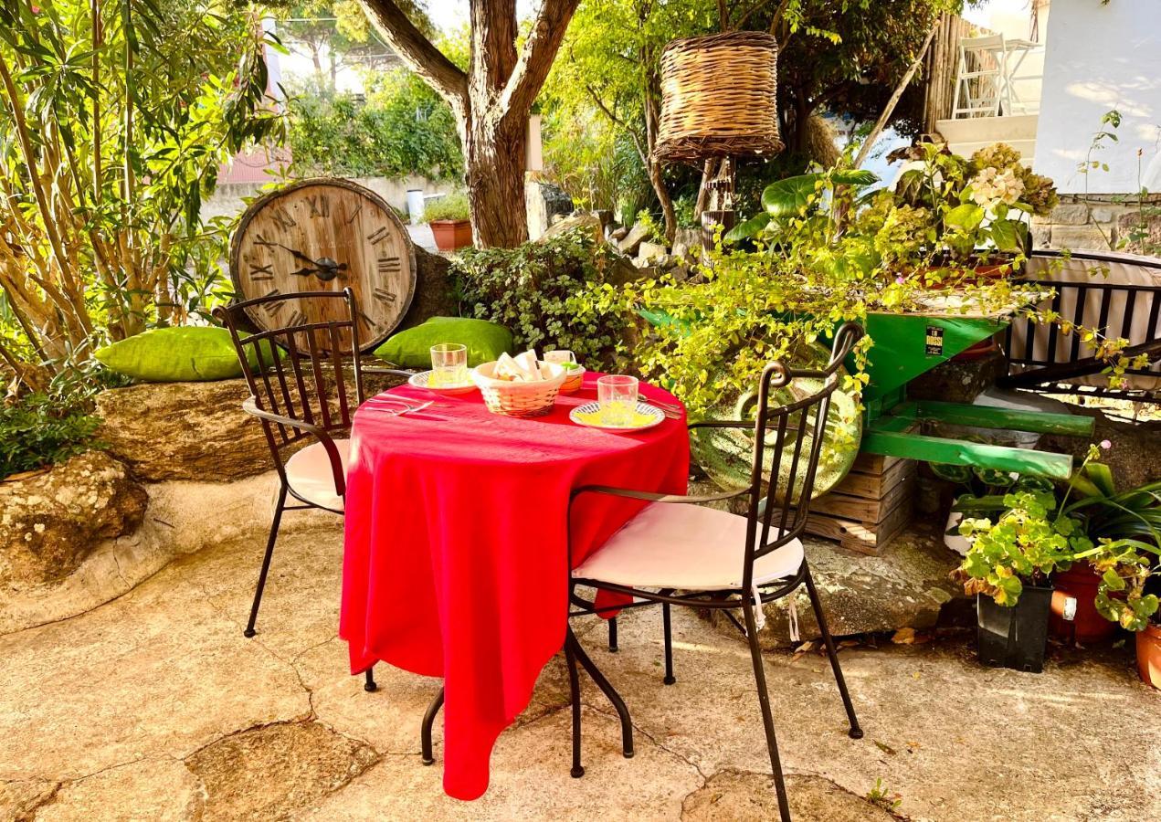 Vign'Alva Bed & Breakfast Castelsardo Bagian luar foto
